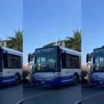 Santa Margherita Ligure, corse saltate a San Lorenzo della Costa Viva Santa chiede che all'Amministrazione che il caso sia portato al tavolo del 26 agosto