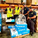 genova ventilatori contraffatti