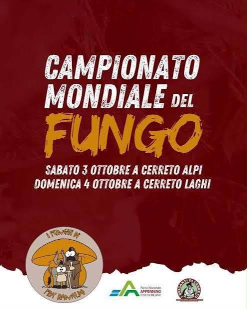Cerreto, tempo di Mondiale, il fungo protagonista dell’Appennino Tosco-Emiliano, Campionato Mondiale del Fungo,