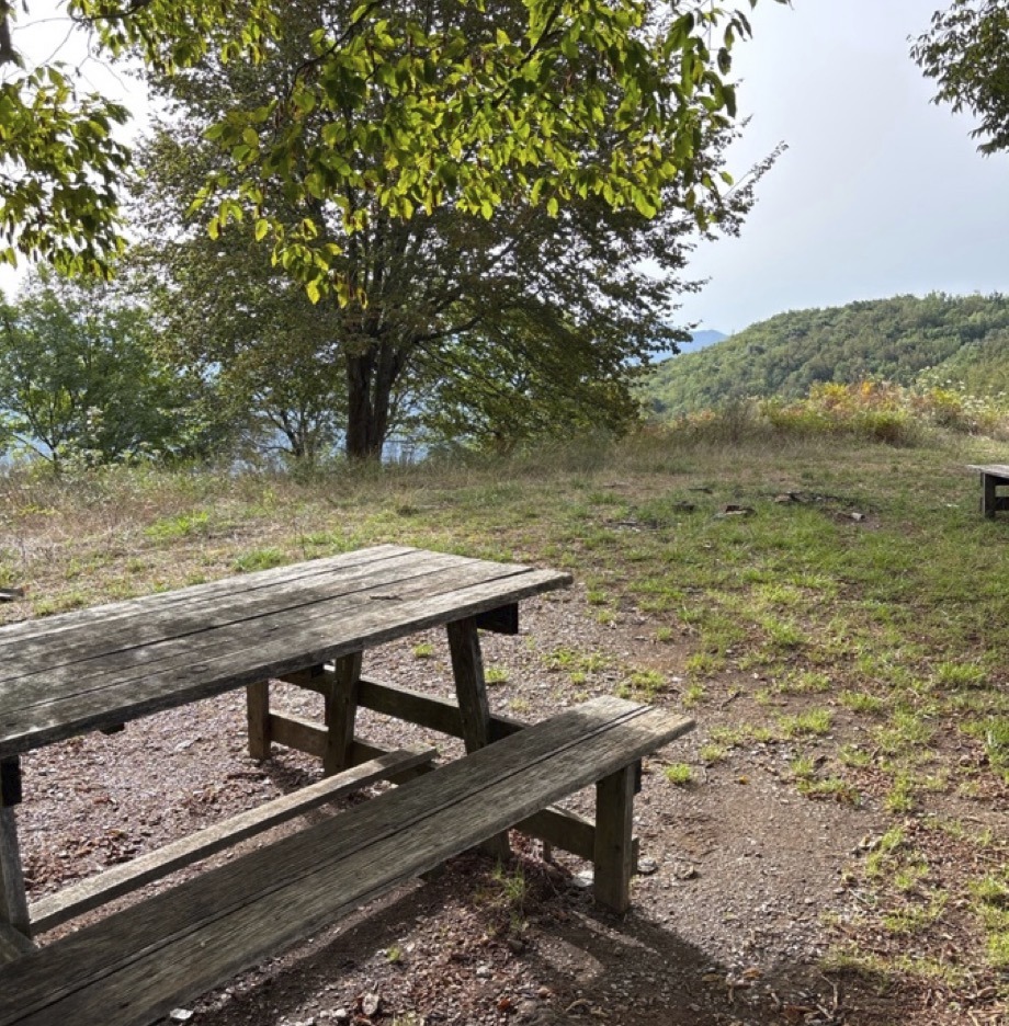 Via libera al progetto esecutivo che rimetterà a nuovo i sentieri per il Monte Capenardo e il Monte Costello: il Comune di Sestri Levante ha approvato gli interventi finanziati con 80mila euro dalla Regione Liguria - nell'ambito del bando per la Strategia Forestale Nazionale, finanziato dal Fondo per l'Attuazione della Strategia Forestale Nazionale (DGR 82/2025) - che consentiranno di recuperare e valorizzare percorsi escursionistici che si sviluppano lungo due sentieri della Rete Escursionistica Ligure: quello che collega Sestri Levante a San Bernardo e al Monte Capenardo, e quello che da Sestri Levante sale verso il Monte Costello.